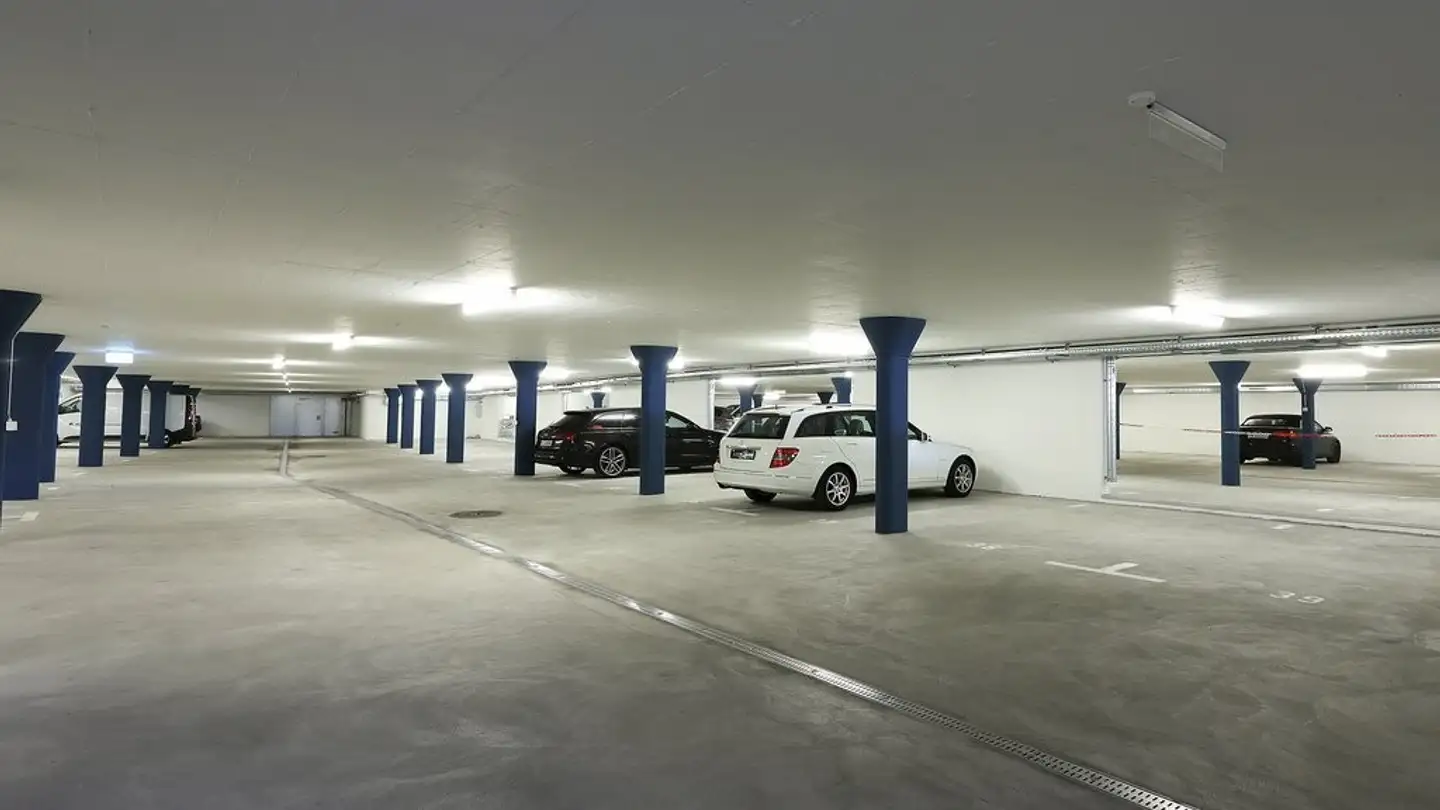 Single garage for rent - Hagenbuchstrasse 21, 8192 Zweidlen - Photo 2