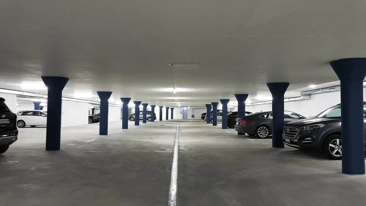 Single garage for rent - Hagenbuchstrasse 21, 8192 Zweidlen - Photo 3