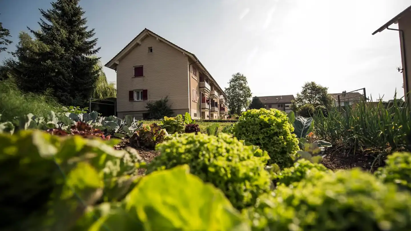 Appartamento in affitto - Buchenweg 9, 2543 Lengnau BE