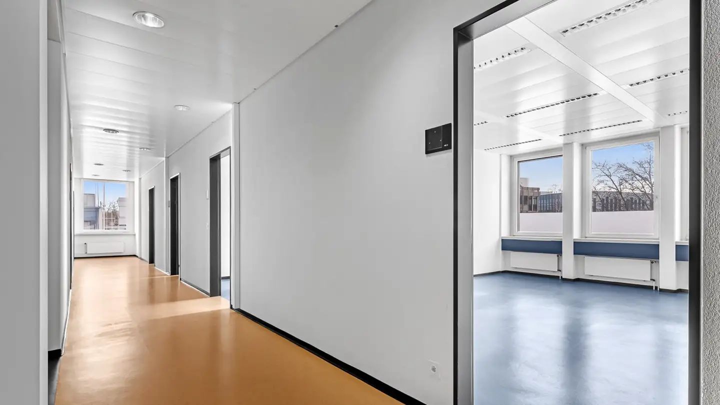 Commercial for rent - Hagenholzstrasse 111, 8050 Zürich - Photo 2