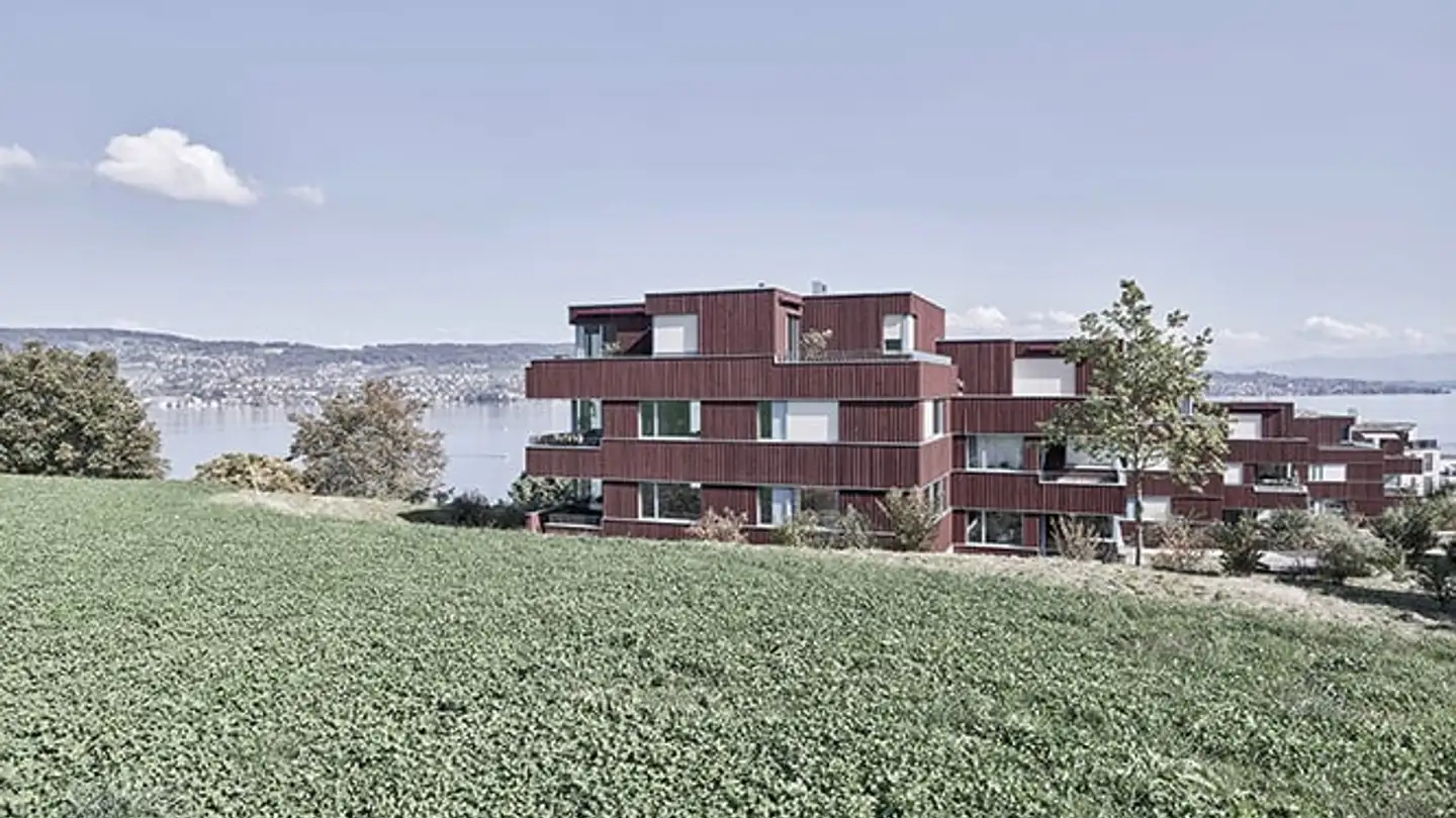 Appartement à louer - Tiefenhofstrasse 20d, 8820 Wädenswil