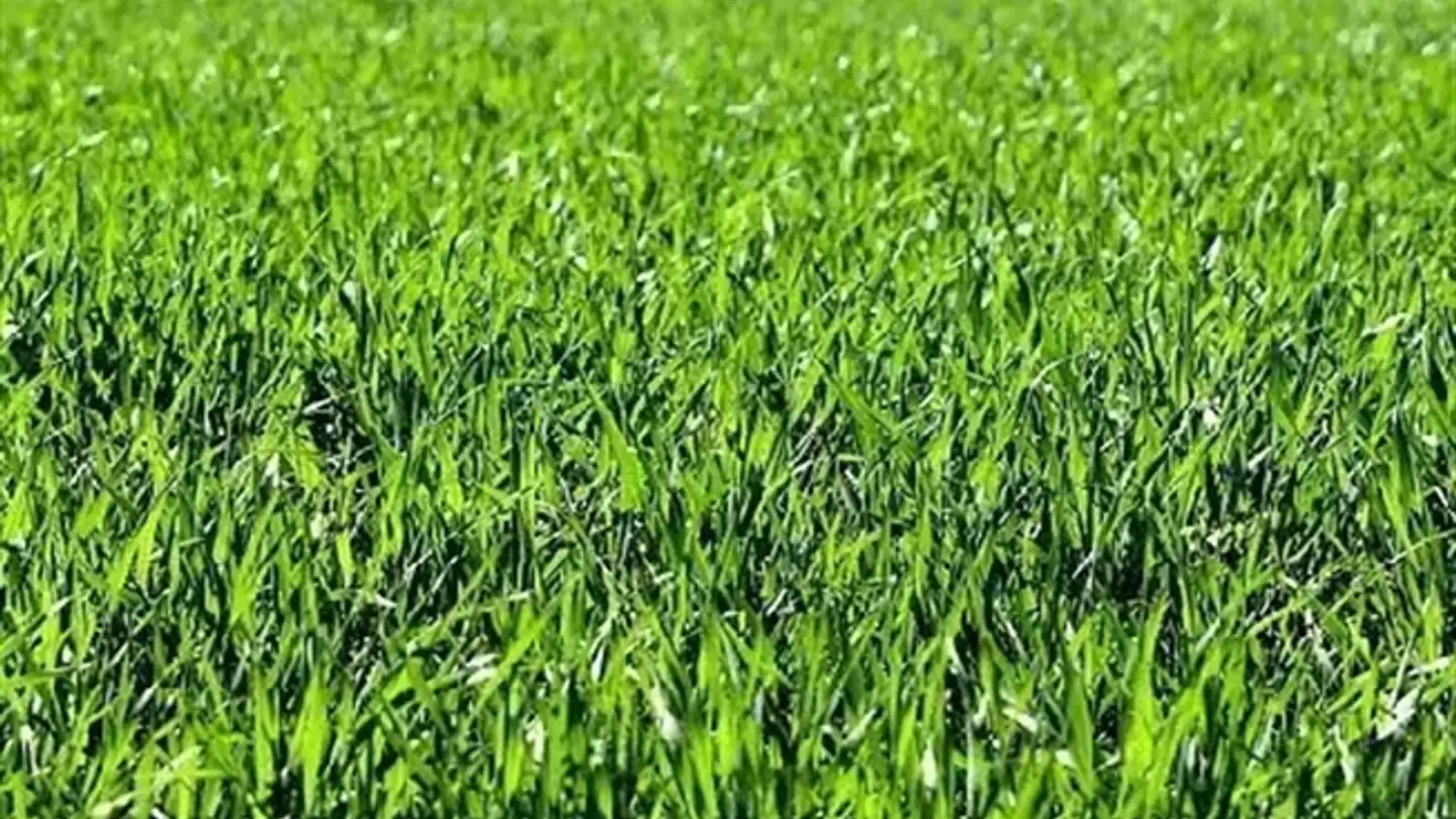 Apartment for sale - 6702 Claro