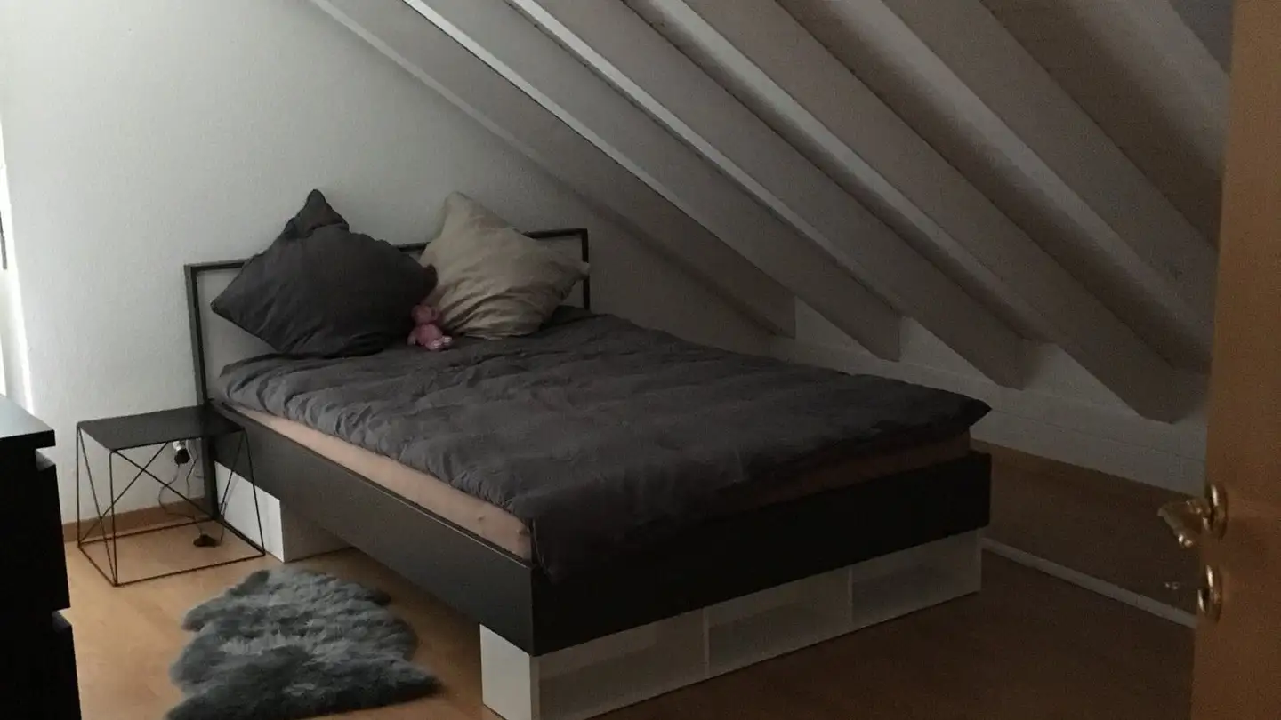 Single house for rent - Elblingstrasse 6, 4142 Münchenstein - Photo 3