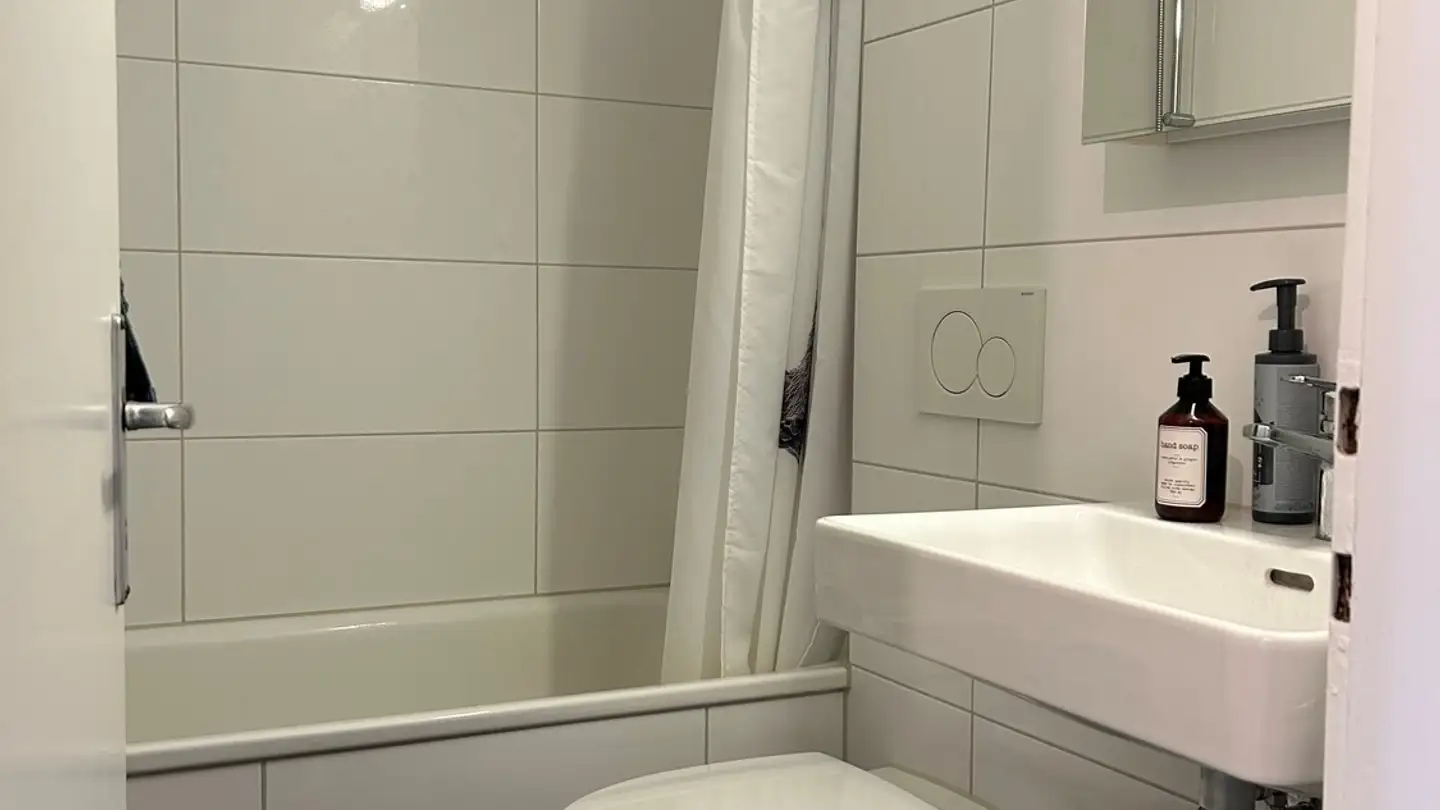 Appartamento in affitto - Chlupfgasse 6, 8303 Bassersdorf - Foto 3