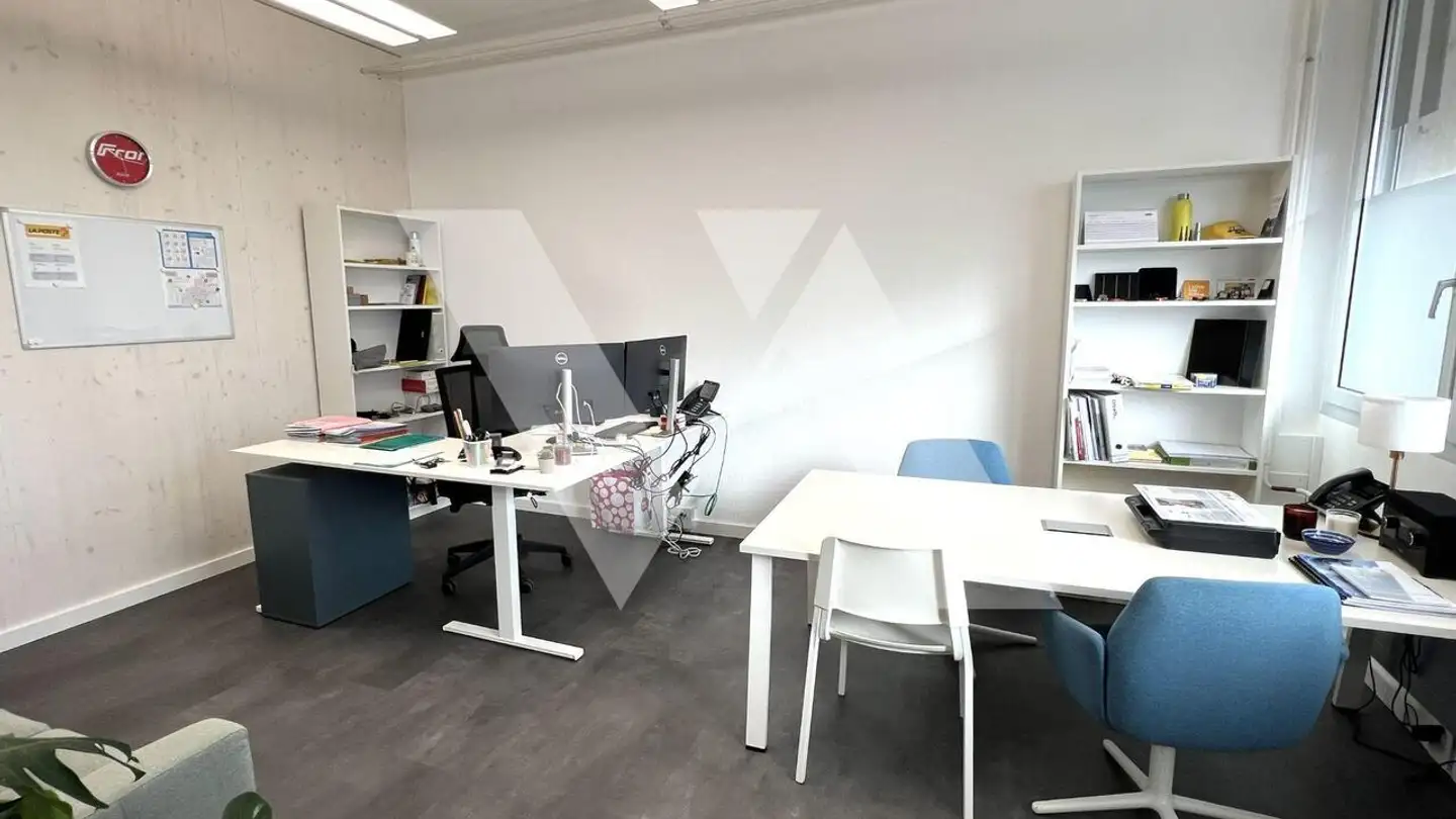 Werkstatt mieten - Route De Saint-Cergue 297, 1260 Nyon - Foto 4