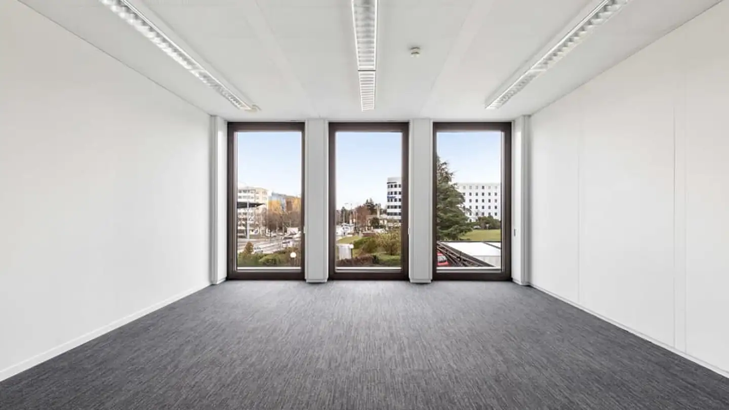 Gewerbe mieten - Avenue Louis- Casaï 18, 1209 Genève - Foto 2