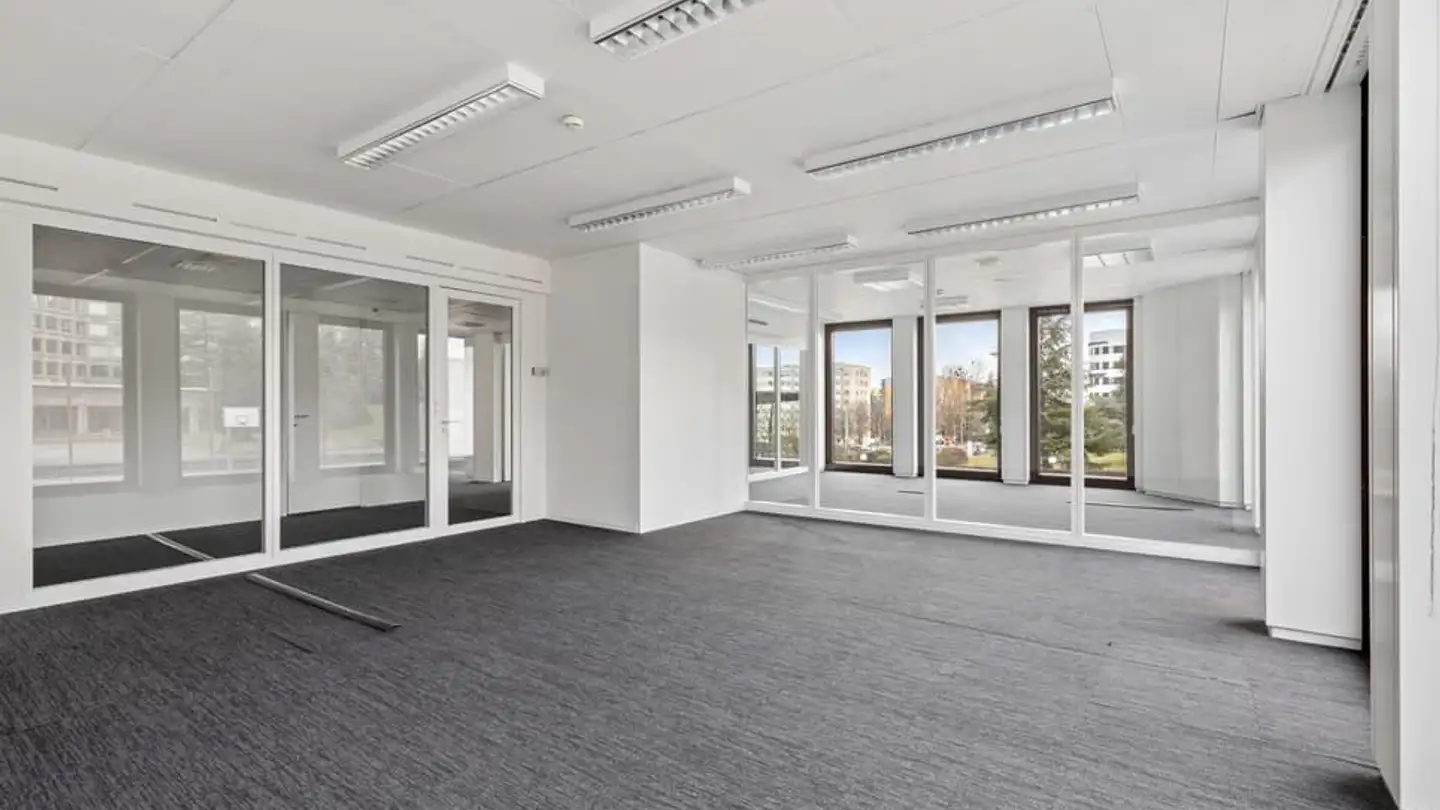 Gewerbe mieten - Avenue Louis- Casaï 18, 1209 Genève - Foto 3