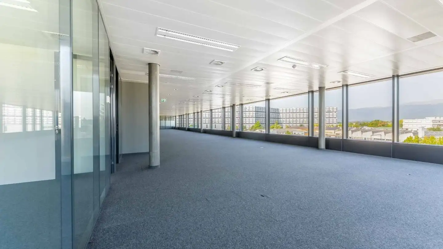 Spazio ufficio in affitto - Chemin Du Château-Bloch 11, 1219 Le Lignon - Foto 3