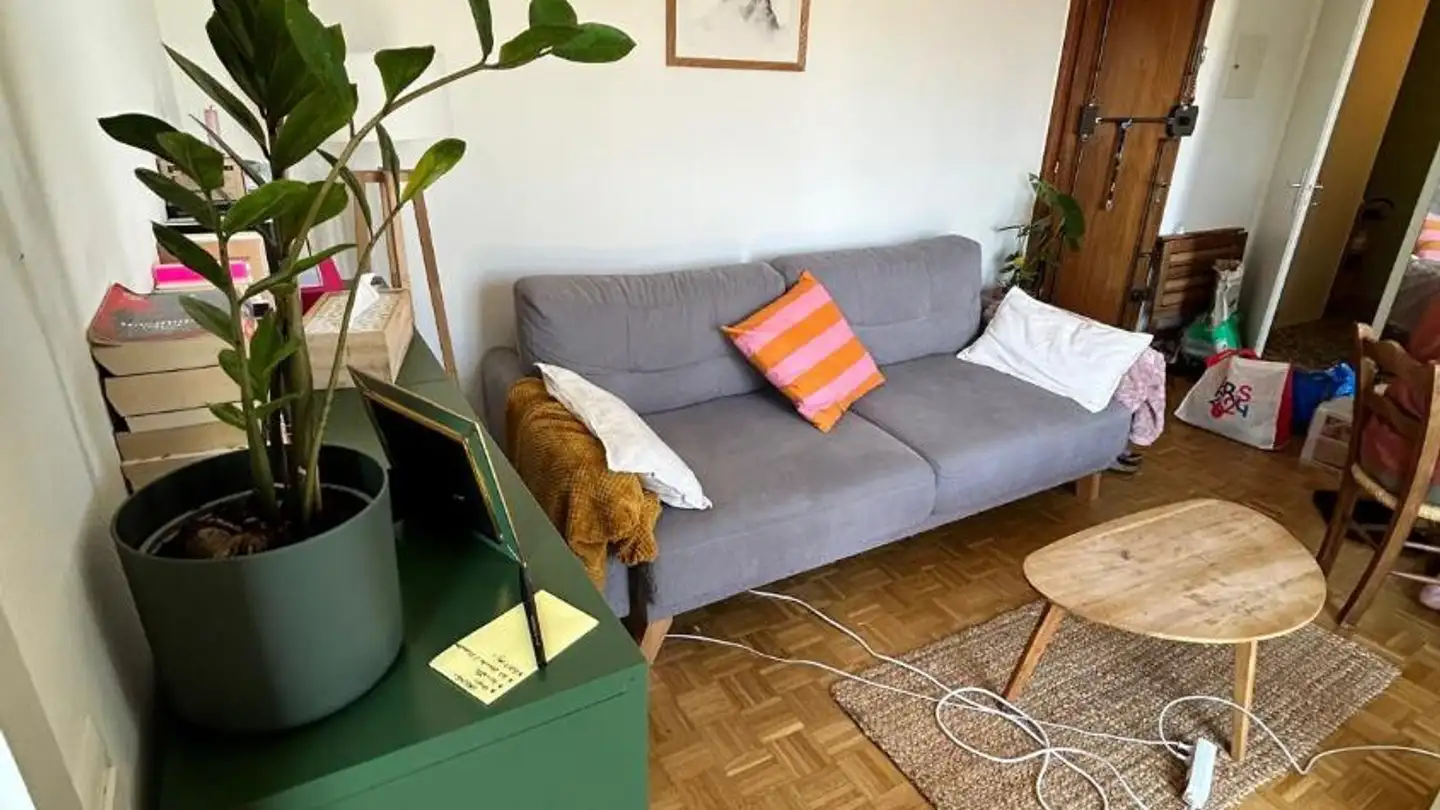 Attico in affitto - Rue Micheli-Du-Crest 10, 1205 Genève - Foto 3