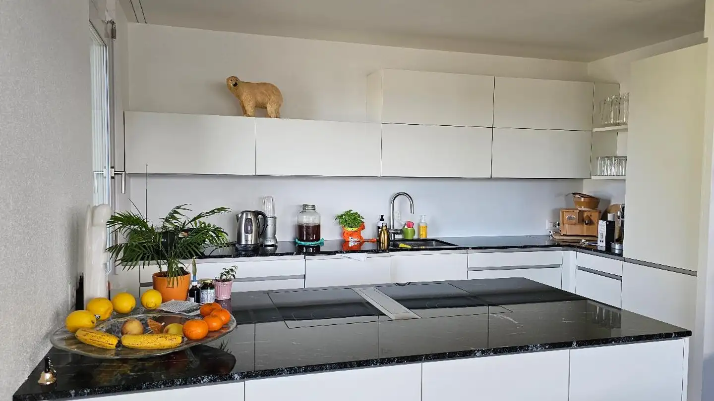 Appartamento ammobiliato in affitto - Oberer Höhenweg 11, 8266 Steckborn - Foto 2