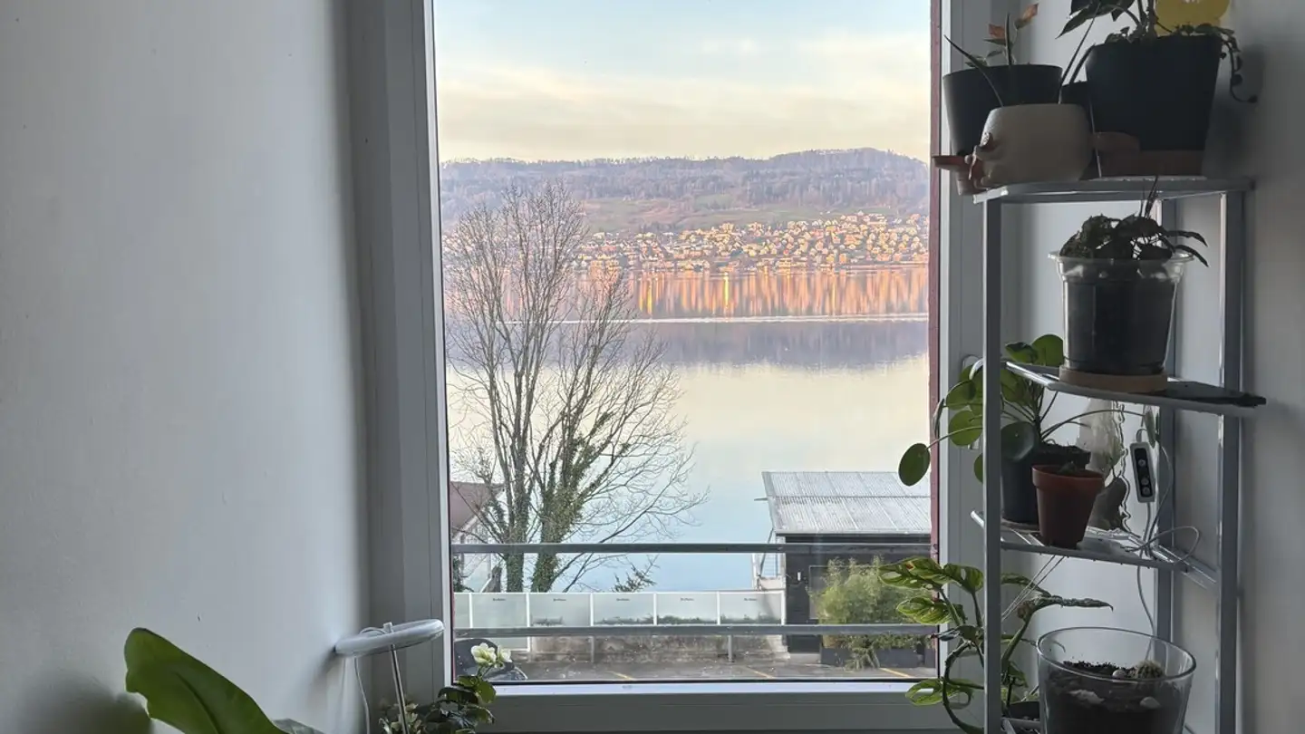 Zimmer mieten - 8704 Herrliberg - Foto 2