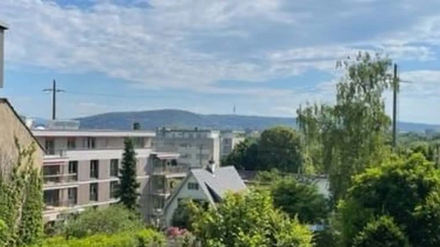 Gewerbe mieten - Emil Frey-Strasse 85, 4142 Münchenstein