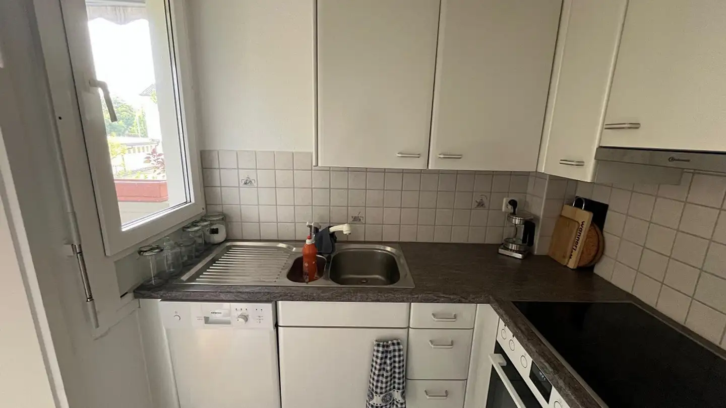 Appartement à louer - Wallisellenstrasse 467, 8050 Zürich - Photo 2