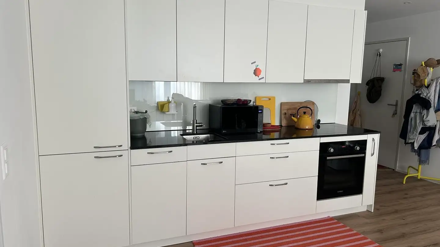 Appartamento in affitto - Hertensteinstrasse, 8052 Zürich - Foto 3