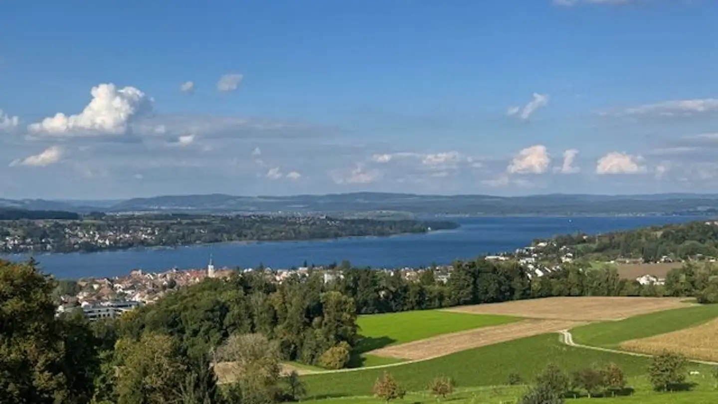 Appartamento in affitto - Zelgistrasse 2, 8266 Steckborn
