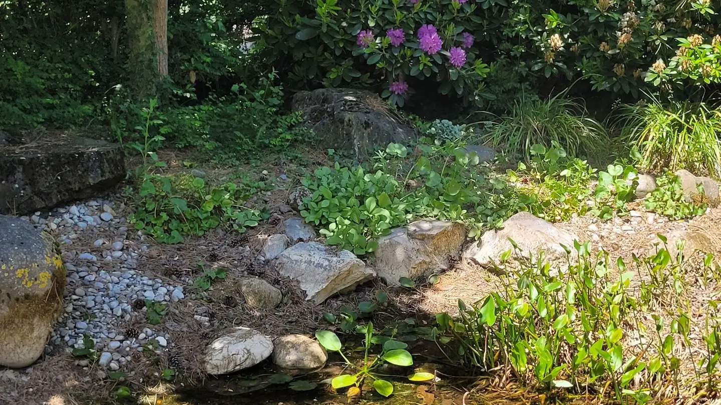 Casa singola in vendita - Reckholtern 12, 3065 Bolligen - Photo 4