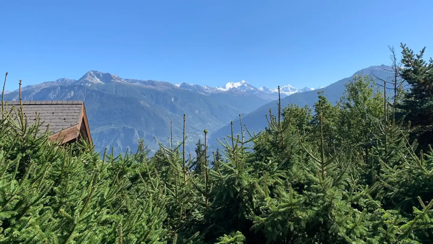 Chalet à vendre - Chemin De Praty 40, 3975 Randogne - Photo 2