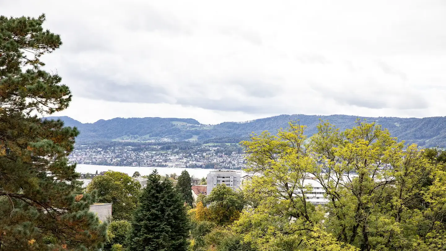 Wohnung mieten - Eierbrechtstrasse 35, 8053 Zürich - Foto 3