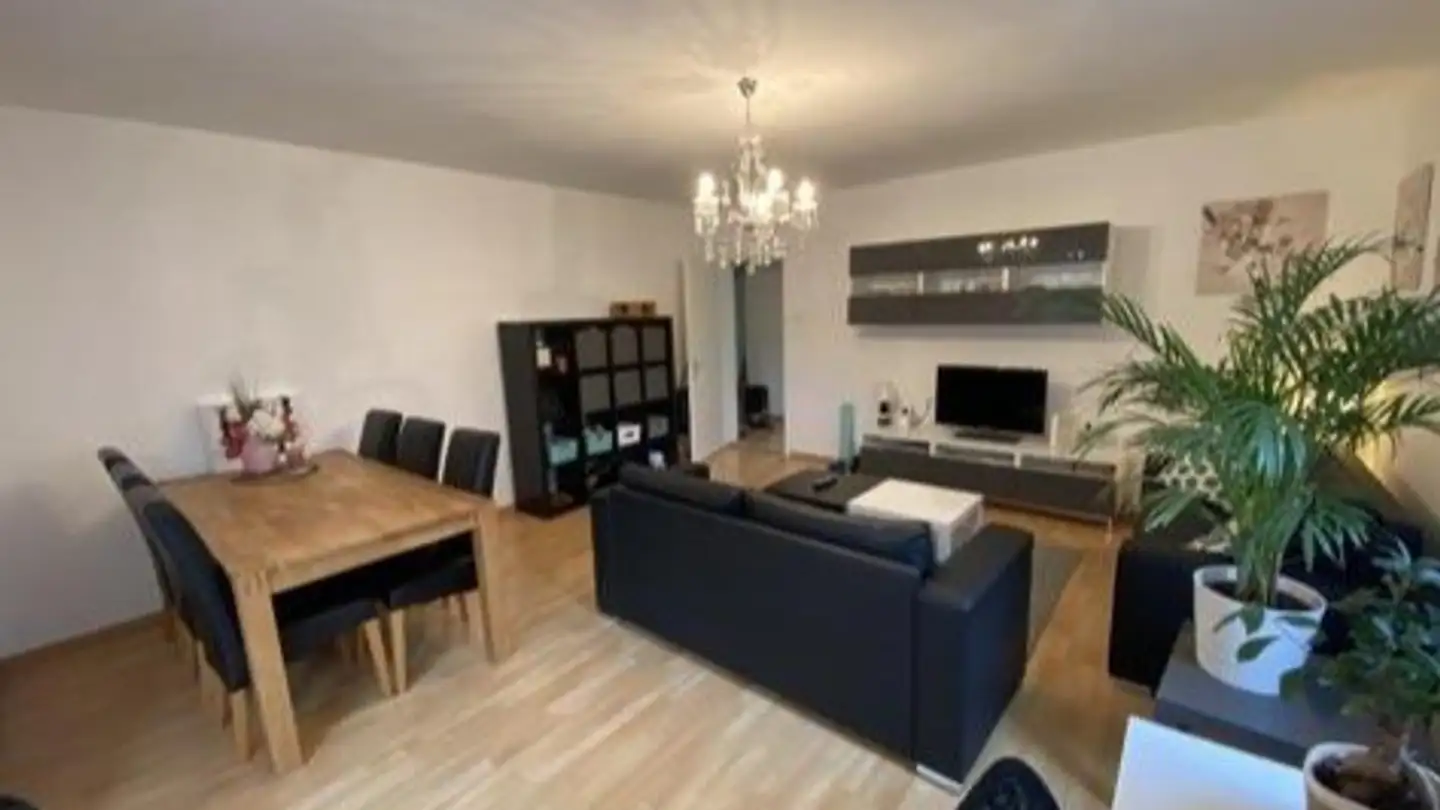 Appartamento in affitto - Döltschiweg 17, 8055 Zürich