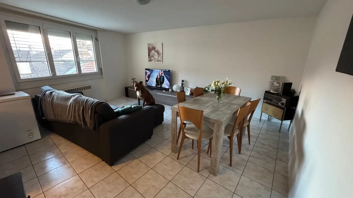 Wohnung mieten - Isole Di Brissago, 6614 Isole di Brissago