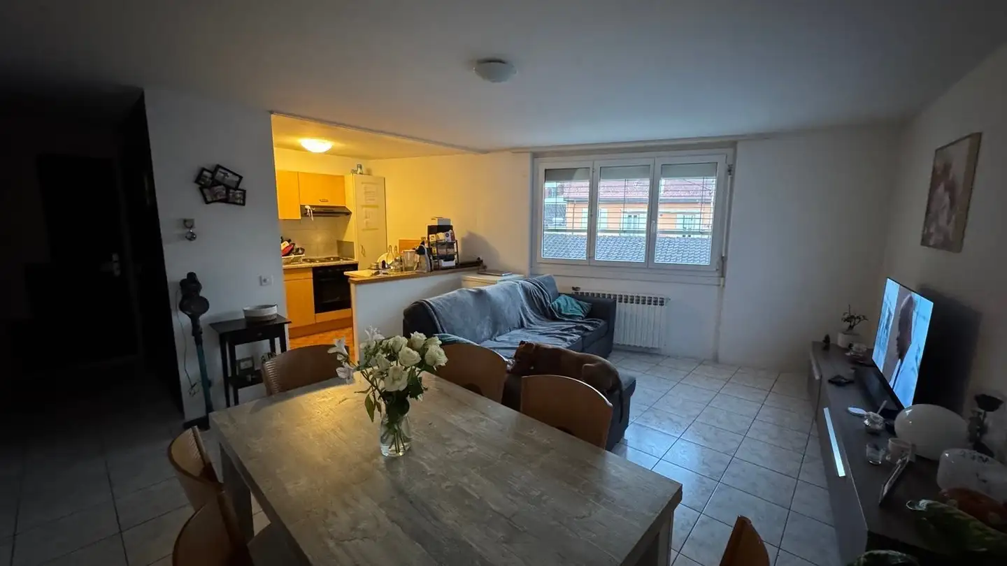 Appartamento in affitto - Isole Di Brissago, 6614 Isole di Brissago - Foto 3