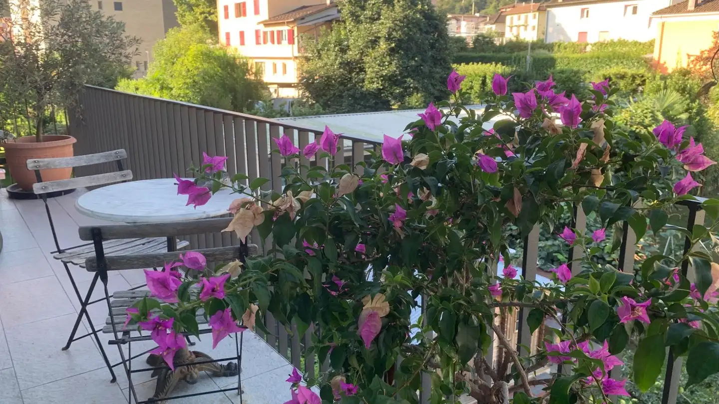 Appartamento in vendita - 6616 Losone - Photo 4