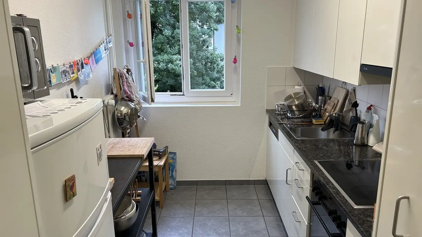 Chambre à louer - 8047 Zürich - Photo 4