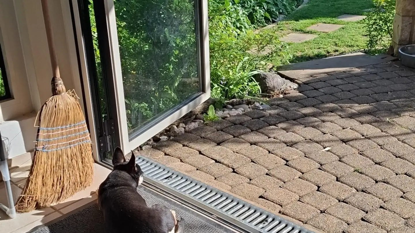 Single room for rent - 4419 Lupsingen - Photo 3