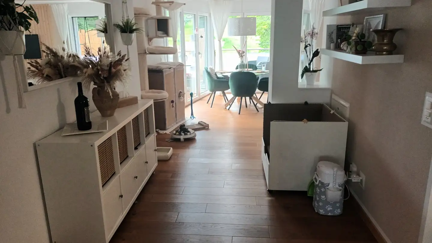 Appartement à louer - Unteroppikon 27, 9565 Oppikon