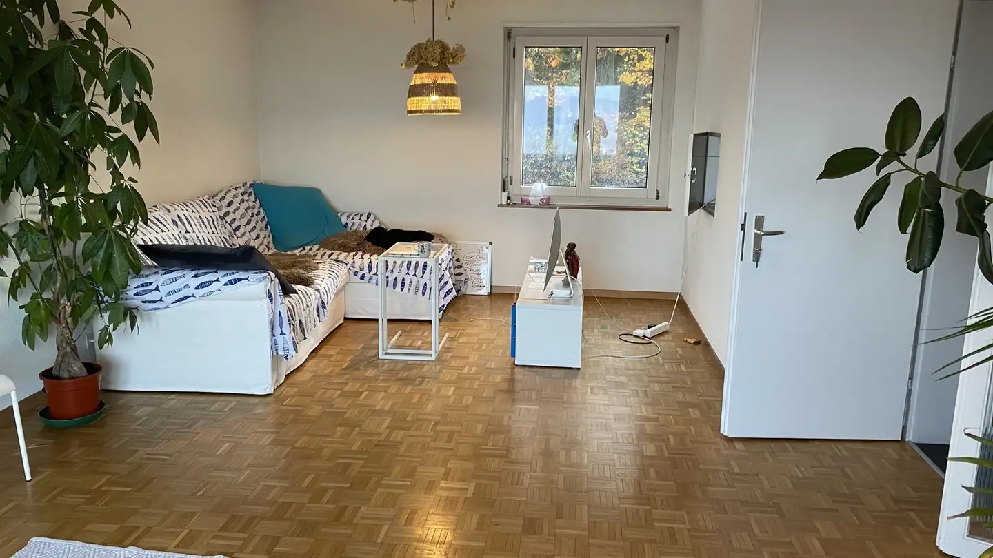 Appartamento ammobiliato in affitto - 8142 Uitikon Waldegg - Photo 3