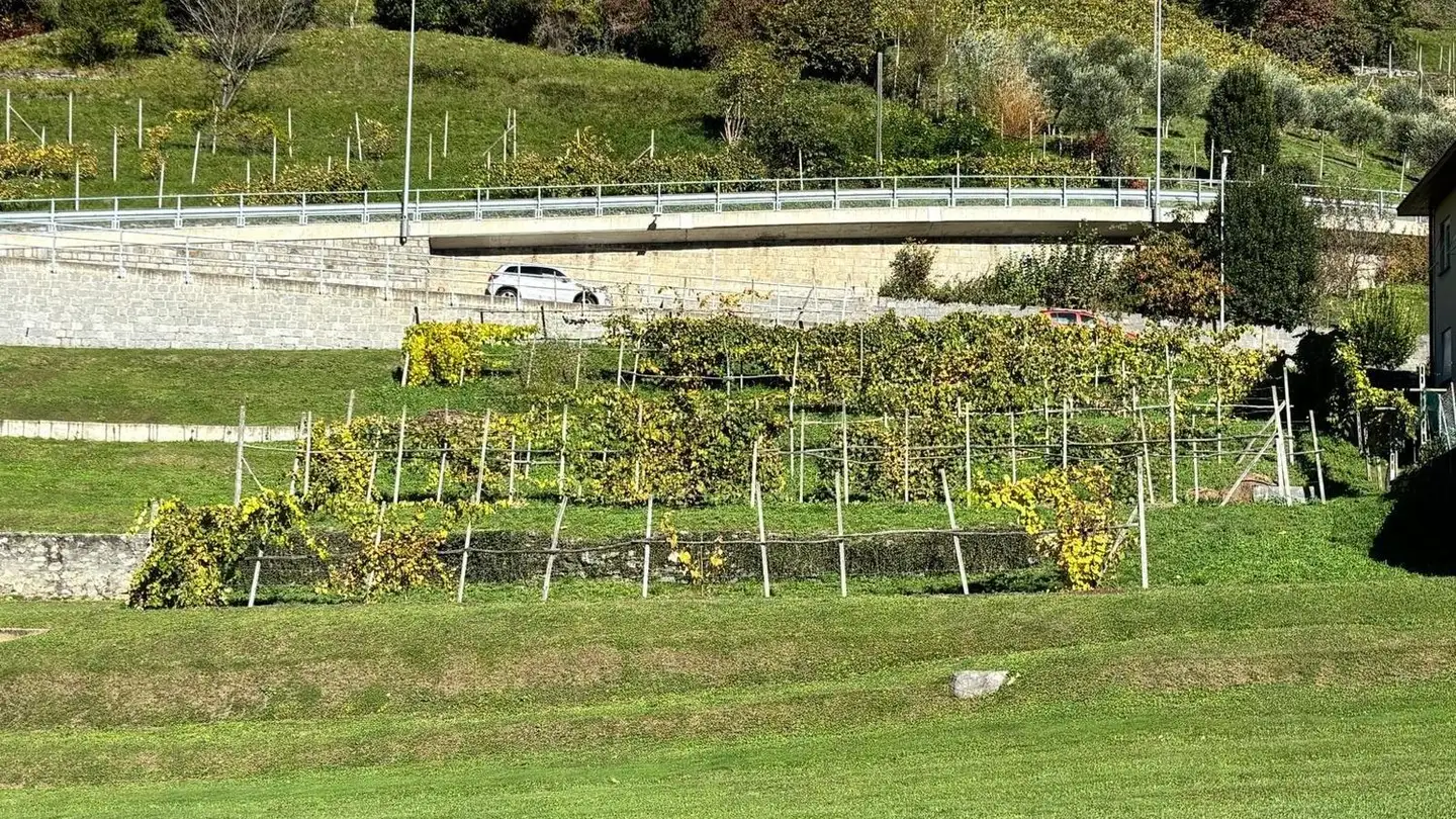 Bauland kaufen - Via Arbustelli, 6804 Bironico