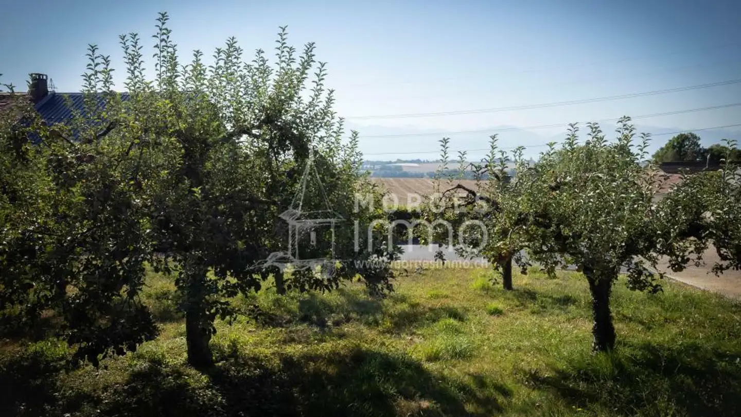 Appartamento in vendita - Place De La Fontaine 1, 1128 Reverolle - Photo 3