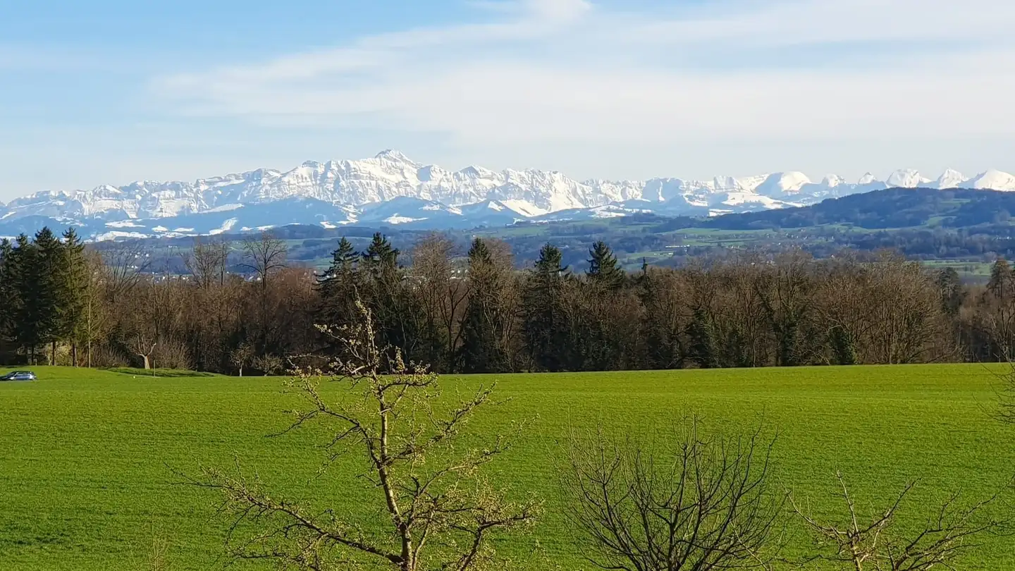 Appartamento in affitto - Unterdorfstrasse 4, 8556 Illhart - Photo 3