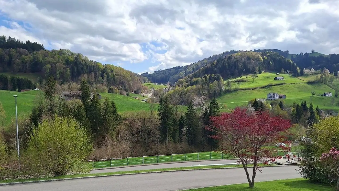 Casa bifamiliare in vendita - Eggstrasse 48, 9055 Bühler - Foto 3