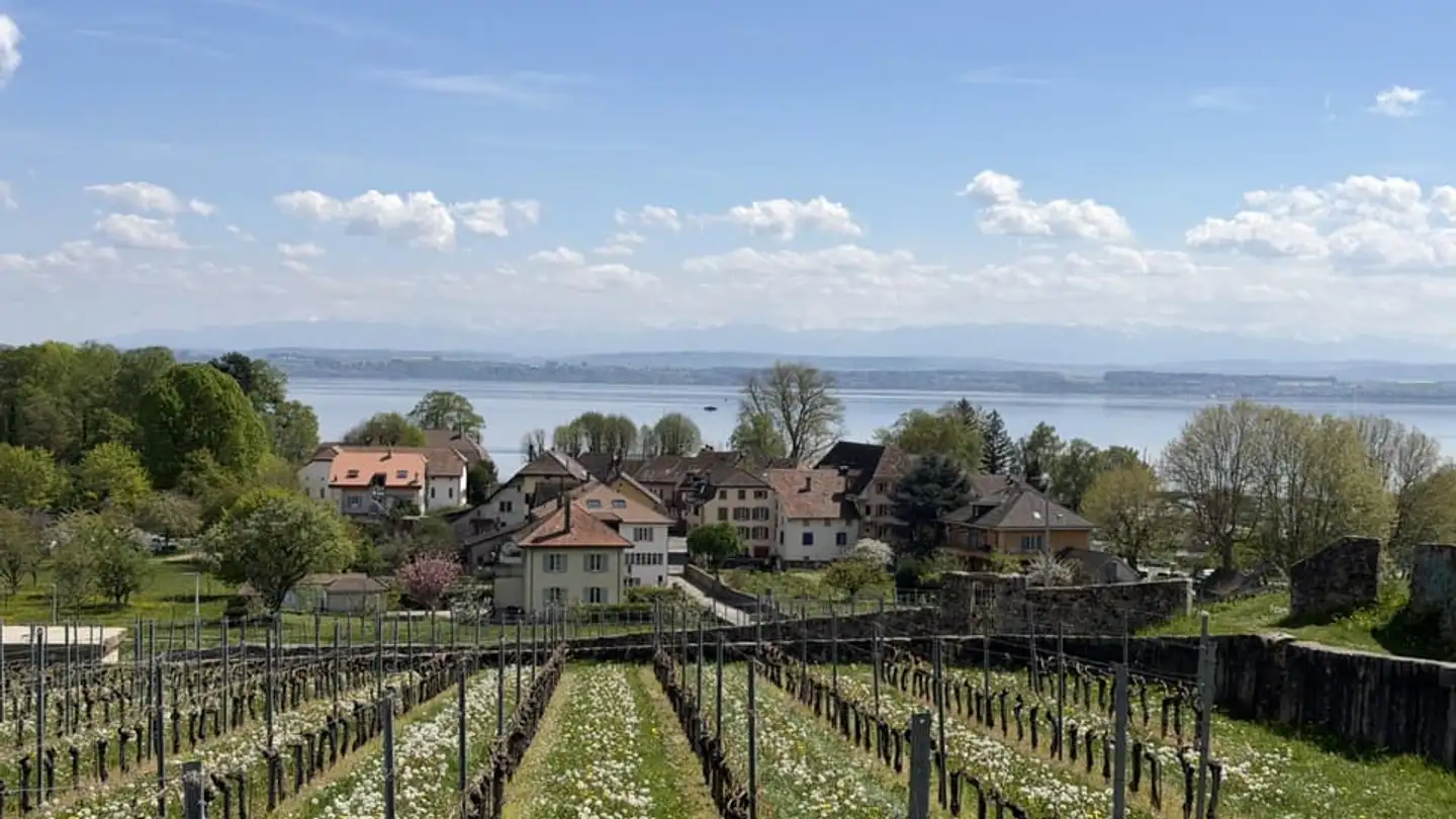 Einfamilienhaus kaufen - 2016 Cortaillod