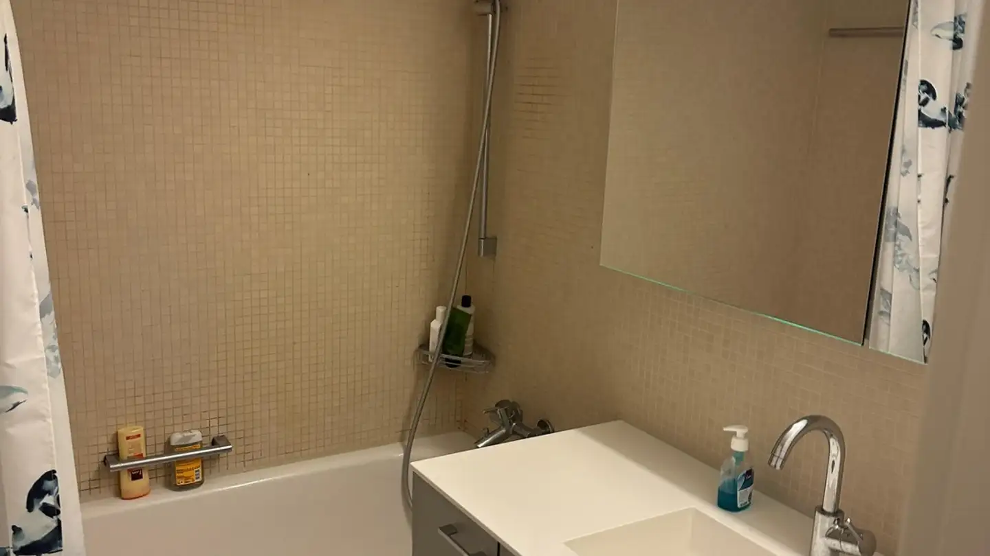 Stanza singola in affitto - Wannerstrasse 22, 8045 Zürich - Foto 3