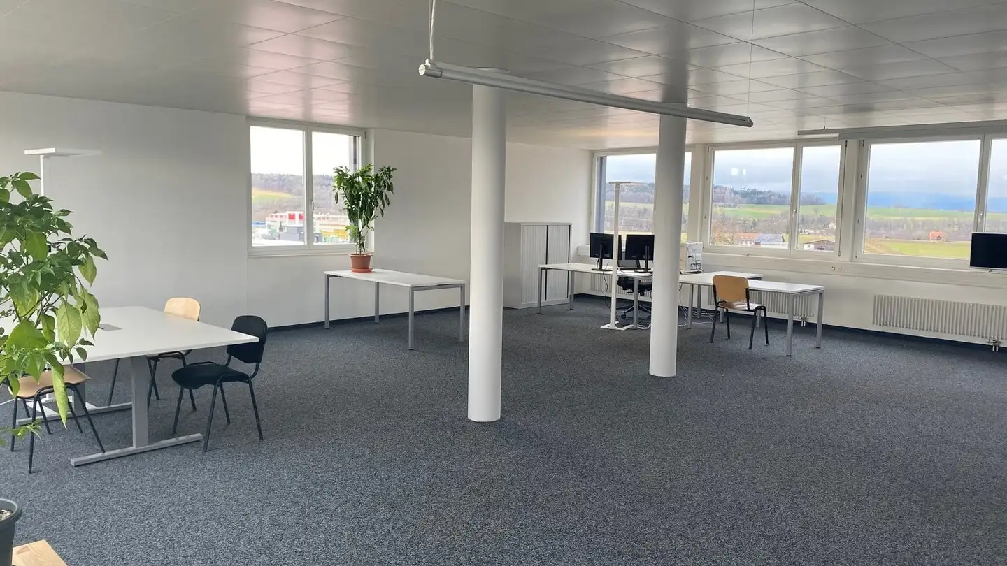 Gewerbe mieten - Birchstrasse 3, 3186 Düdingen