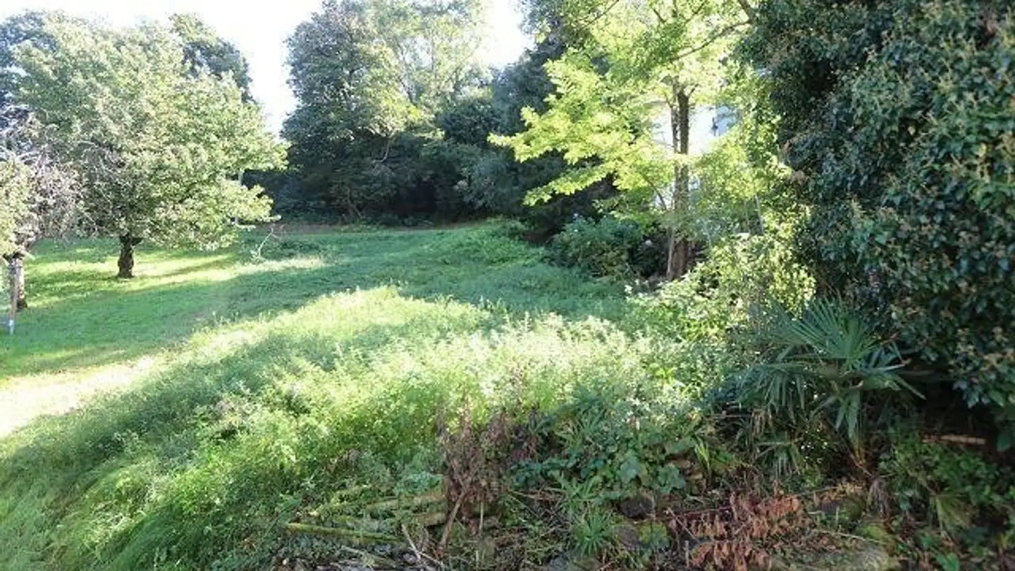 Terrain constructible à vendre - 6593 Cadenazzo