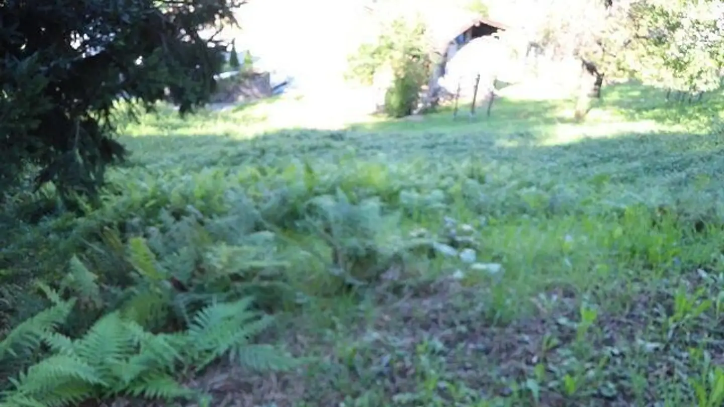 Terrain constructible à vendre - 6593 Cadenazzo - Photo 3