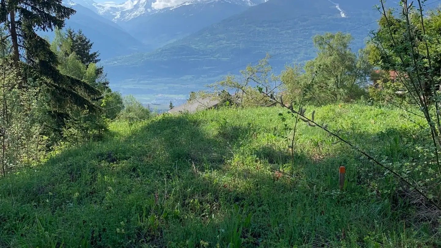 Terrain constructible à vendre - Route de Mossevron, 1965 Savièse - Photo 4
