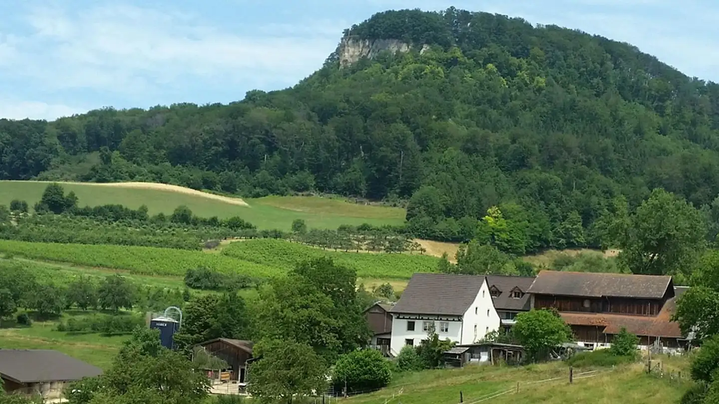 Appartamento in affitto - Letten 17, 4450 Sissach - Foto 4