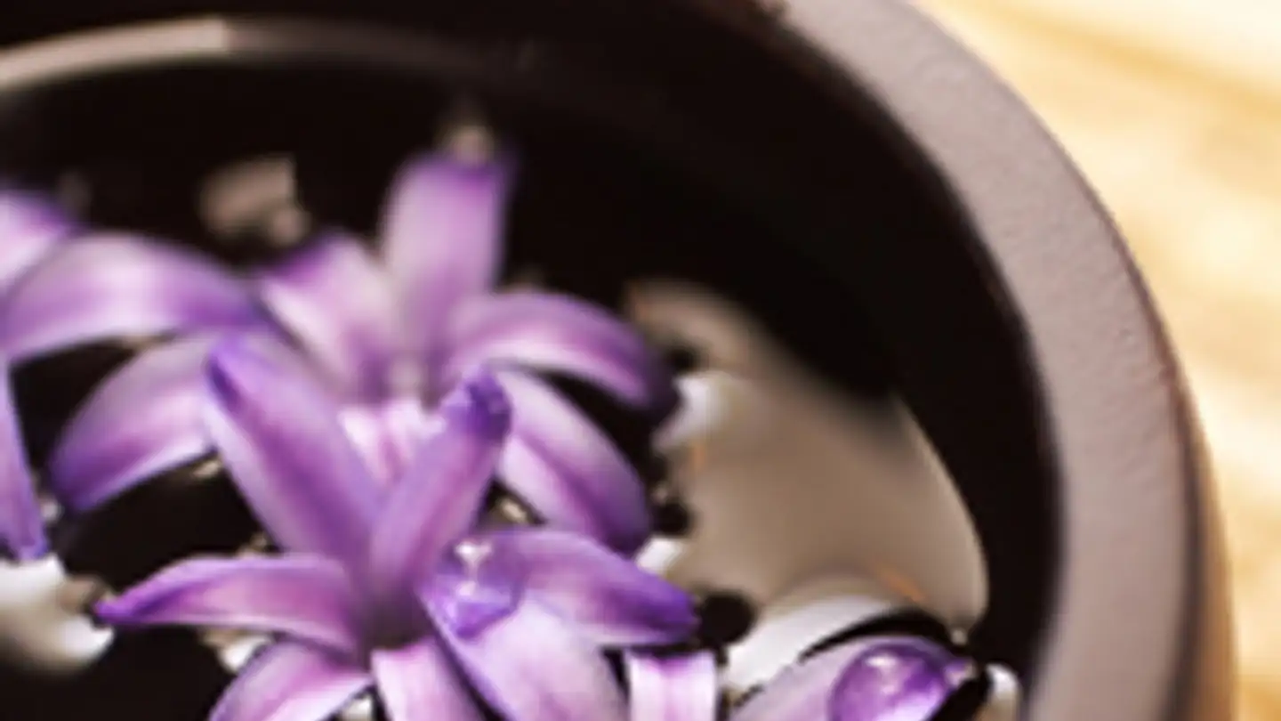 Negozio in affitto - 1006 Lausanne