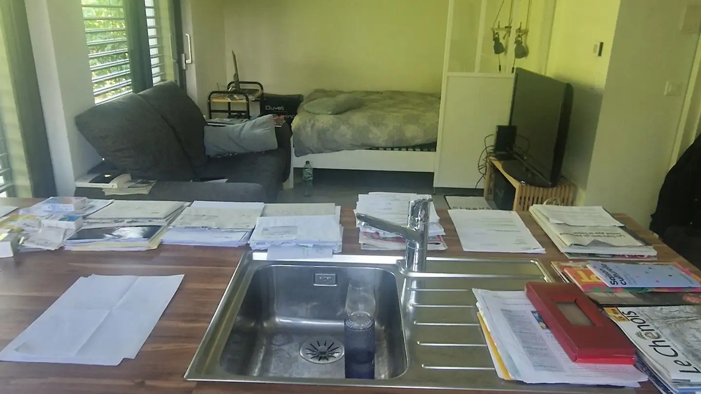 Apartment for rent - Route De Sous-Moulin 30a, 1226 Thônex