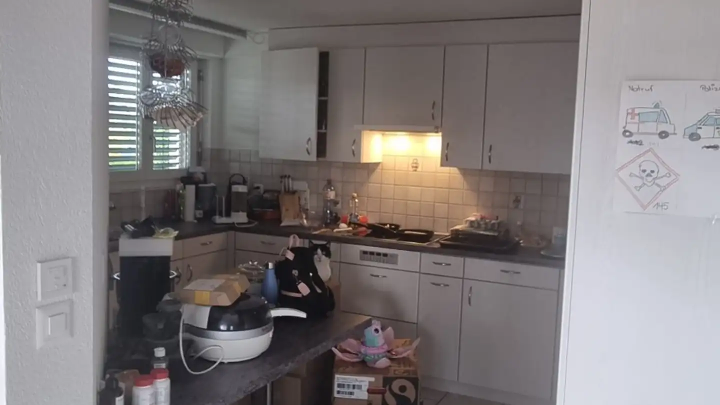 Apartment for rent - Bremgarterstrasse 17, 5622 Waltenschwil - Photo 4