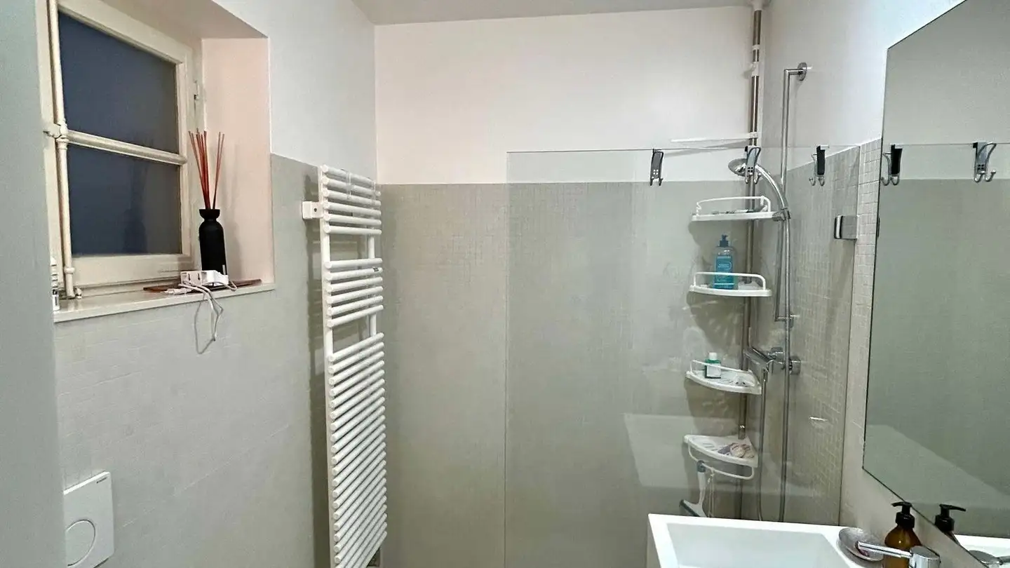 Attico in affitto - Rue Louis-De-Savoie 55, 1110 Morges - Foto 4