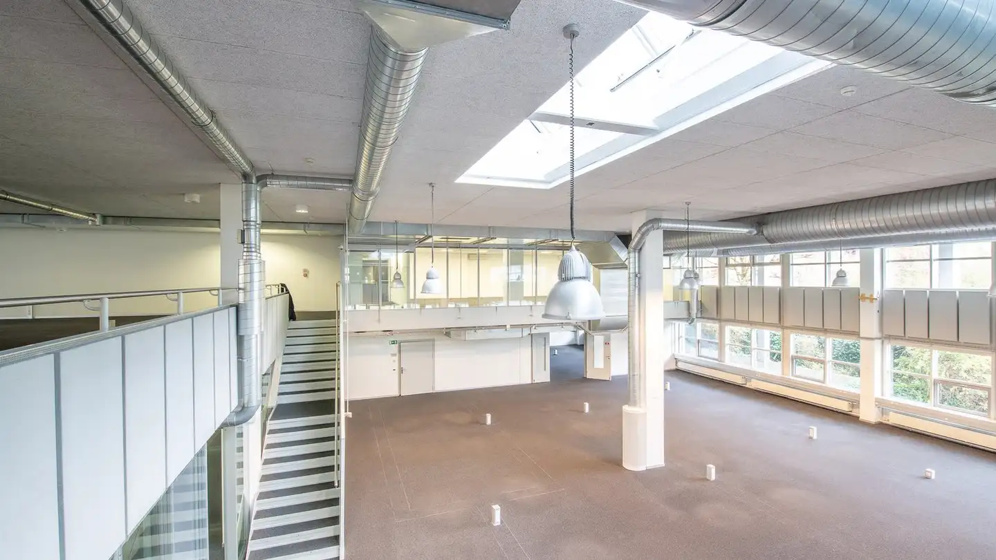 Espace de stockage à louer - In Der Luberzen 42, 8902 Urdorf - Photo 4