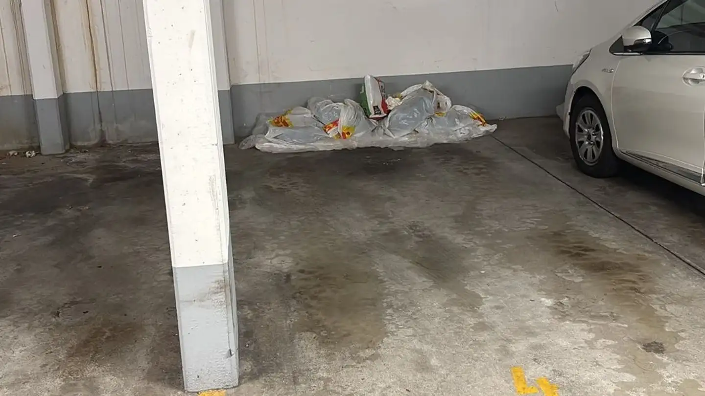 Garage singolo in affitto - Dornacherstrasse 71, 4053 Basel