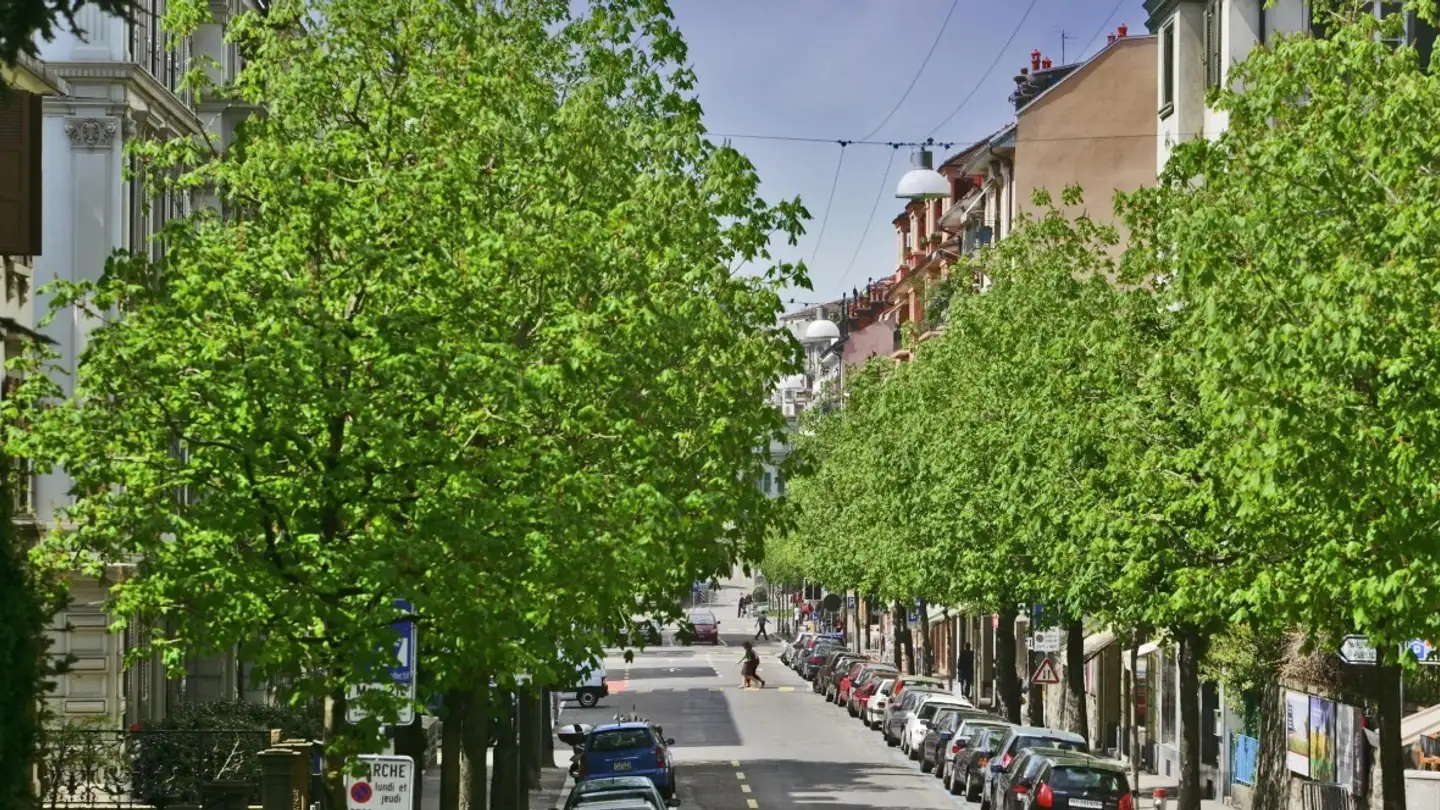 Wohnung mieten - Rue De L'église Anglaise, 1006 Lausanne