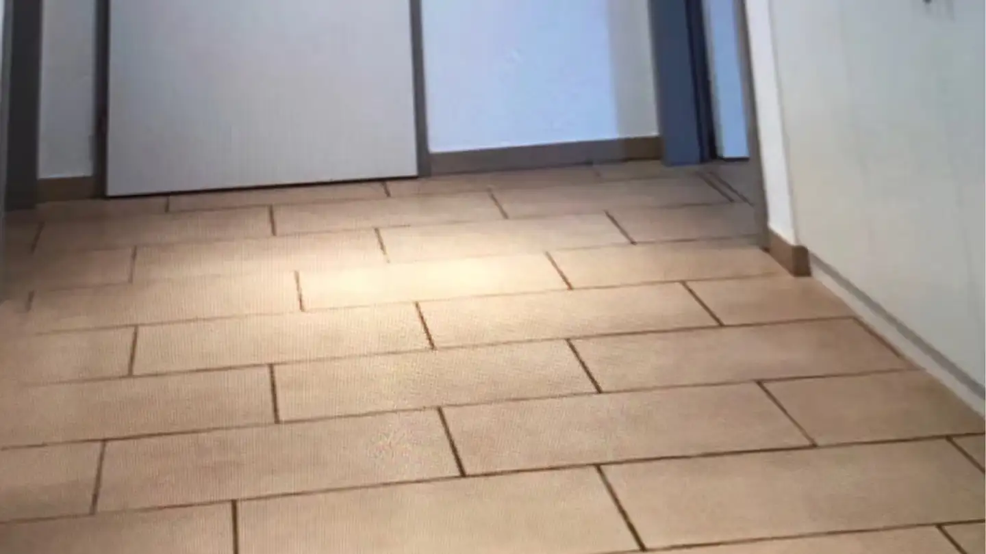 Apartment for rent - Via Pignarénch, 6743 Bodio TI