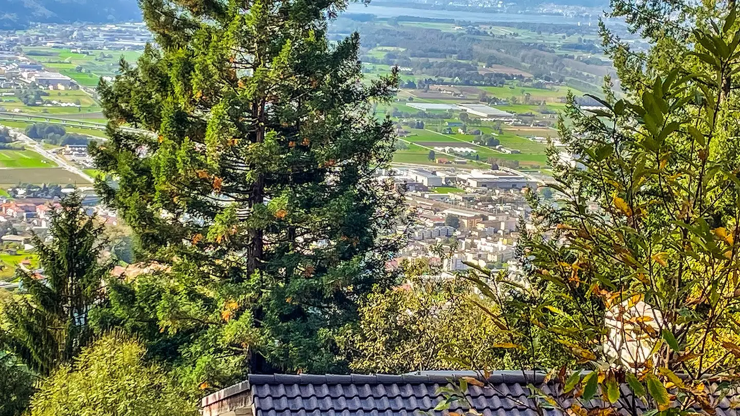 Einfamilienhaus kaufen - Via Del Fé, 6582 Pianezzo - Foto 4